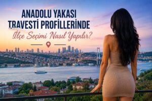 Anadolu Yakası Travesti Profillerinde İlçe Seçimi